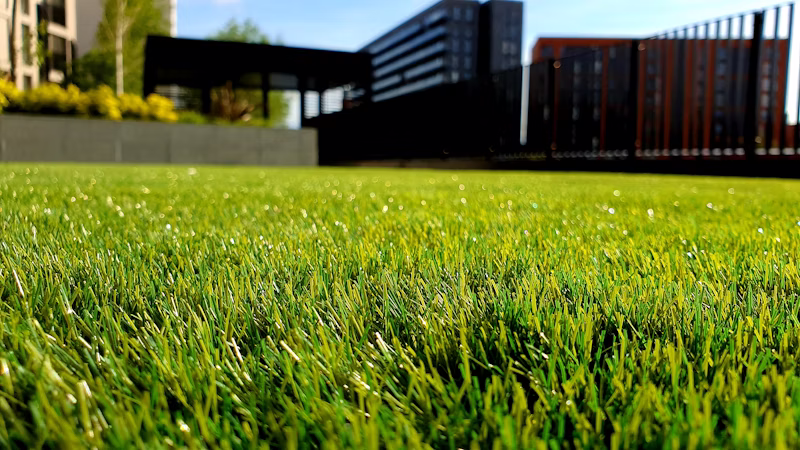 Artificial Grass
